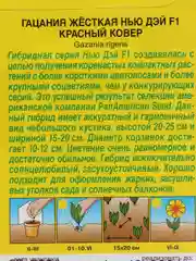 Семена Гацания "Нью Дэй F1. Красный ковер"