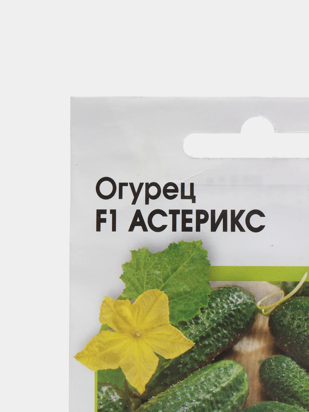 Где Купить Голландские Семена В Москве