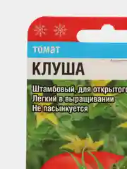 Томат Клуша семена