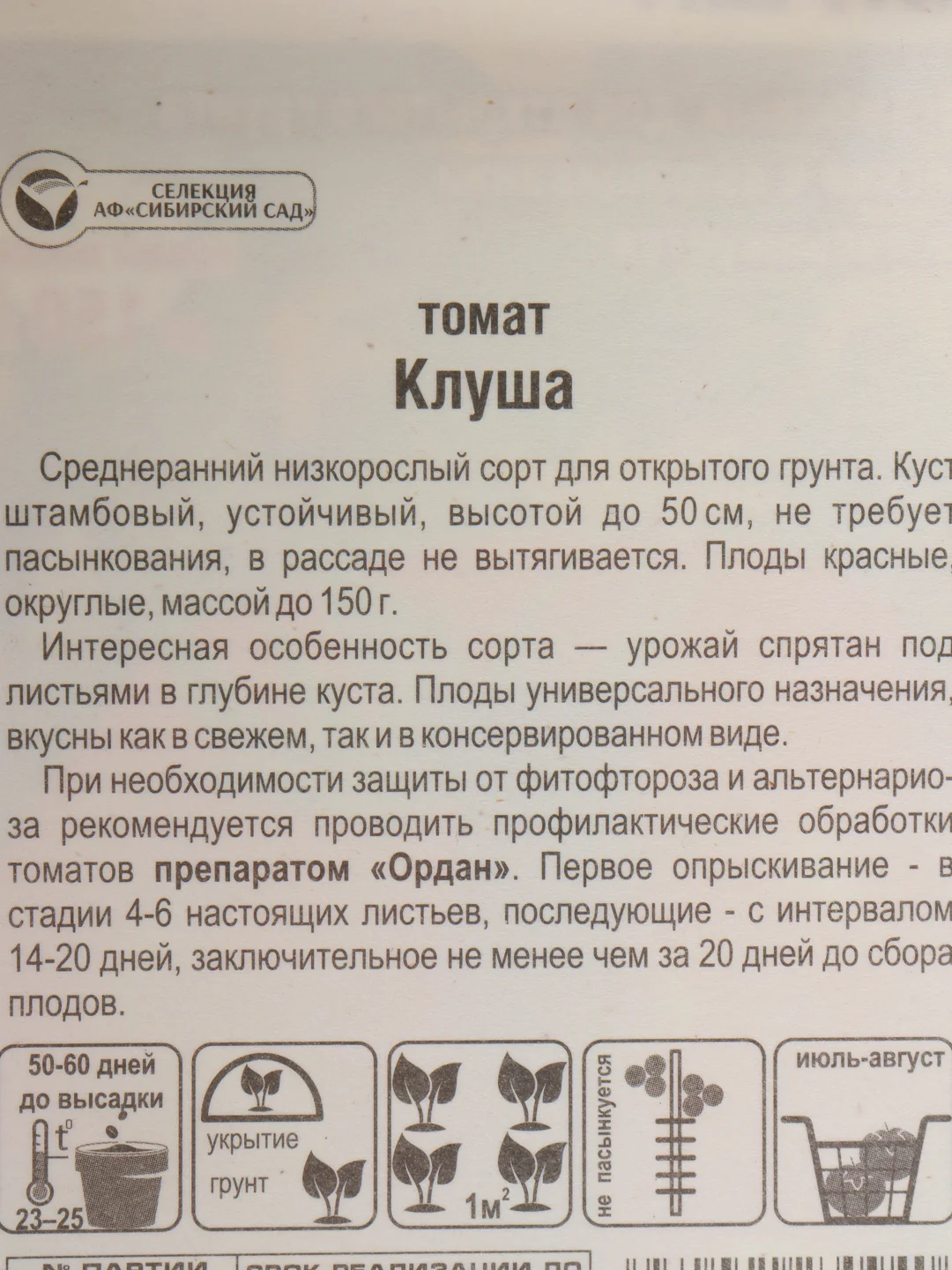 Томат Клуша семена