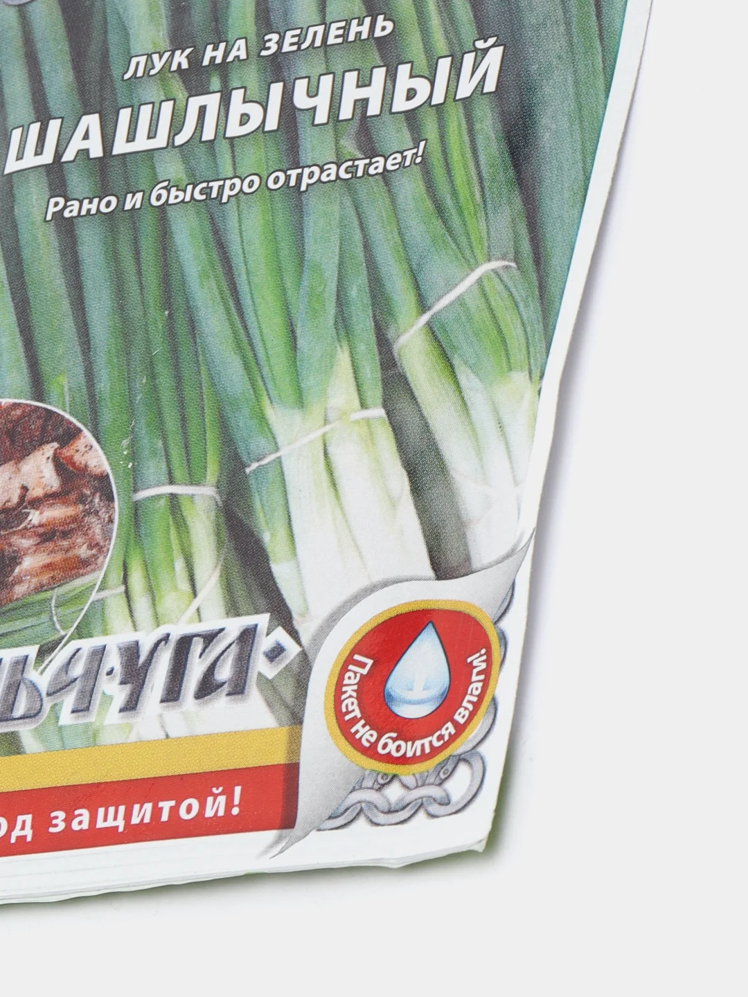 Лук на зелень Шашлычный Семена