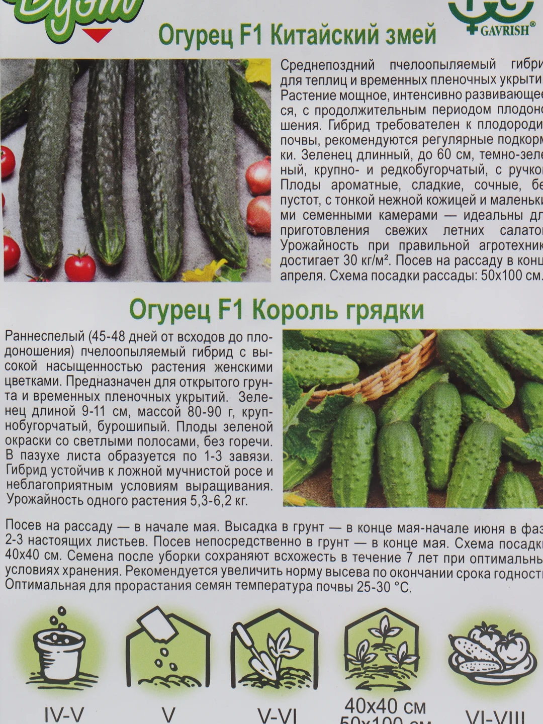 Семена огурцов, популярные на грядке (2 в 1): Китайский змей + Король грядки