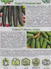 Семена огурцов, популярные на грядке (2 в 1): Китайский змей + Король грядки