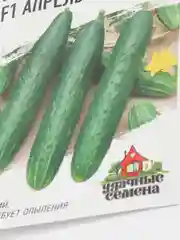 Огурец Апрельский, ранний, не требует опыления, скороспелый, хорошего вкуса
