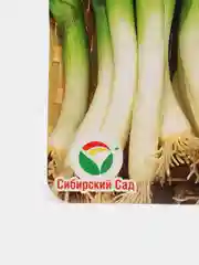 Лук-батун "Лонг Токио", семена