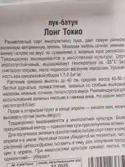 Лук-батун "Лонг Токио", семена