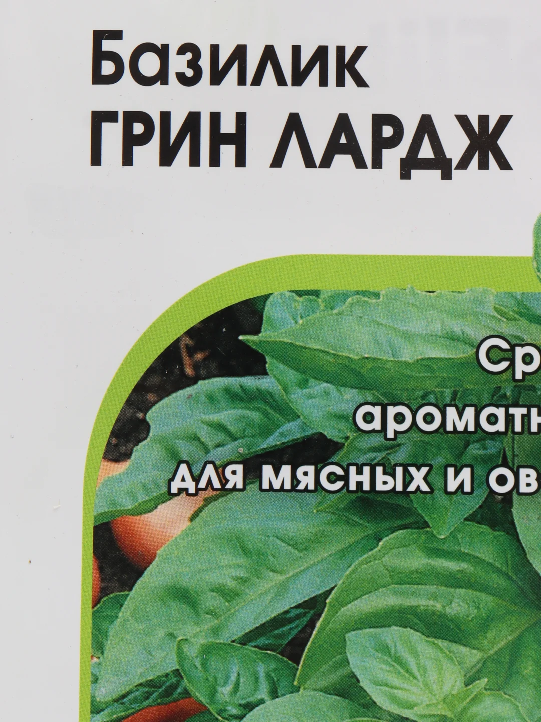 Базилик ГРИН ЛАРДЖ, среднеспелый, ароматная пряность для мясных и овощных блюд