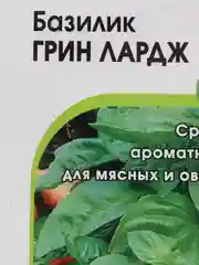 Базилик ГРИН ЛАРДЖ, среднеспелый, ароматная пряность для мясных и овощных блюд
