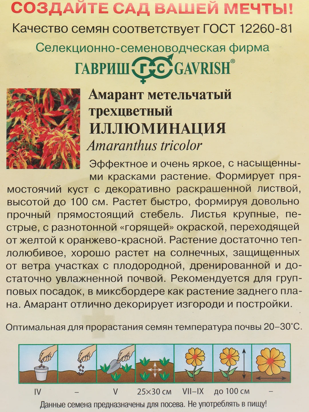 Амарант Иллюминация (семена,цветы)