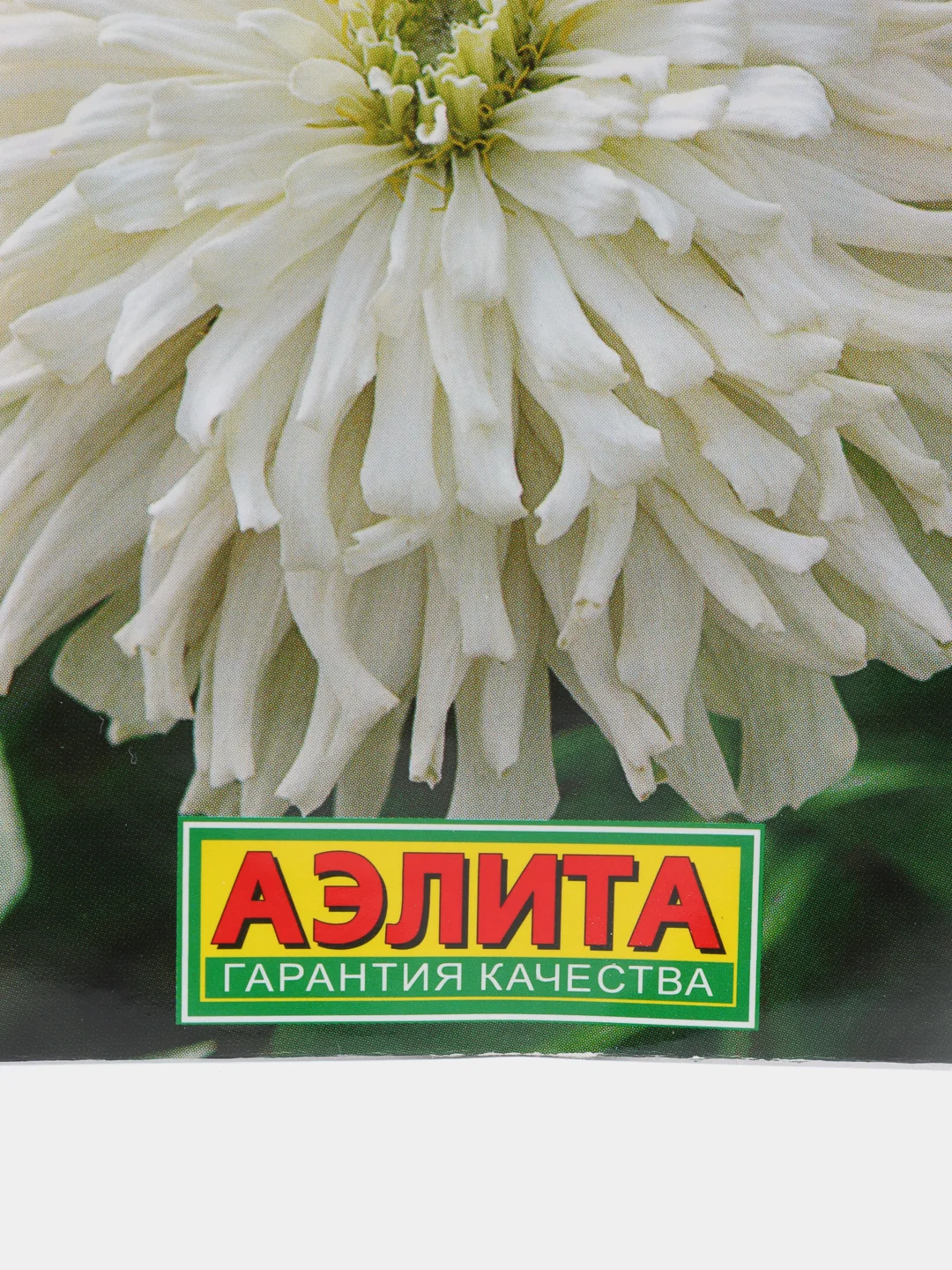Семена Цинния изящная "Снежный человек"