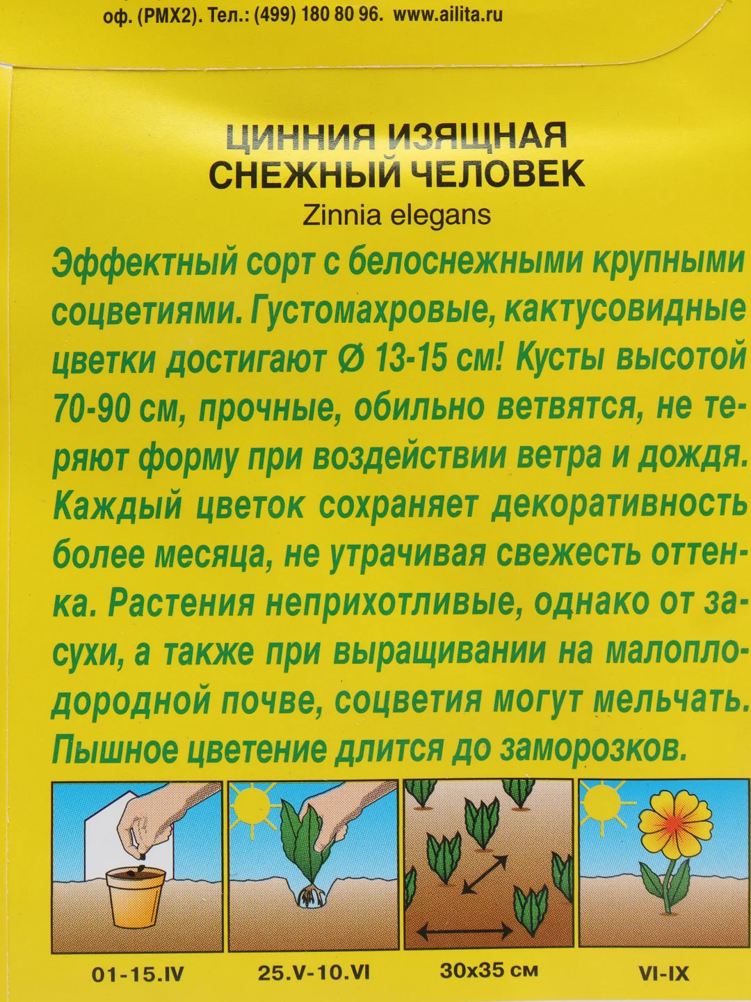 Семена Цинния изящная "Снежный человек"