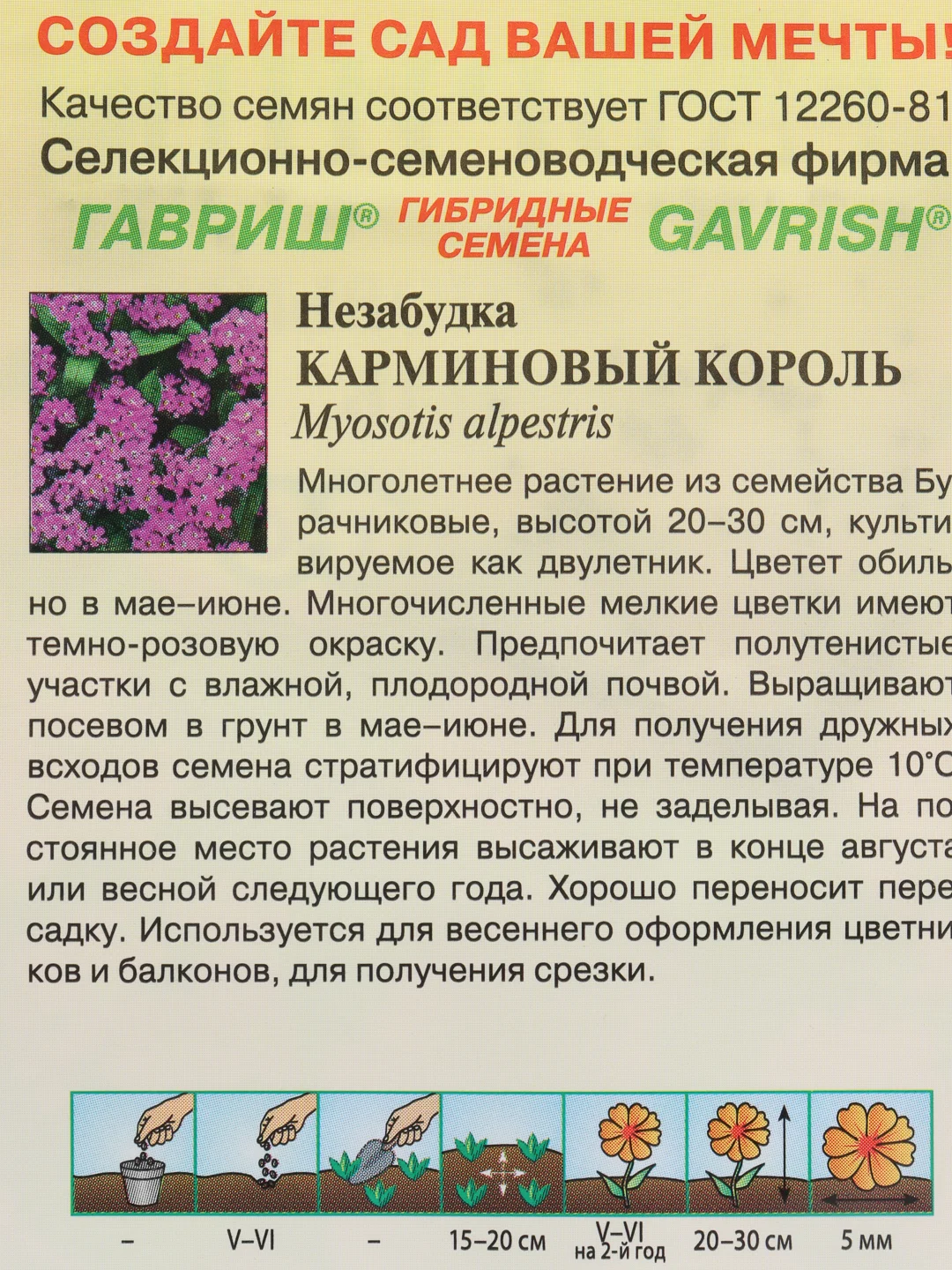 Незабудка Карминовый король (семена,цветы)