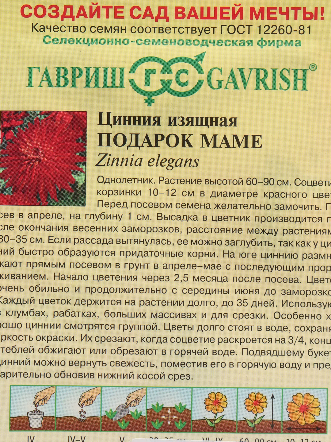 Цинния изящная "Подарок маме", семена