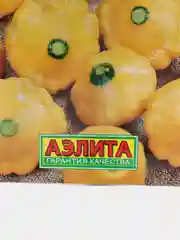 Семена Патиссон Солнышко