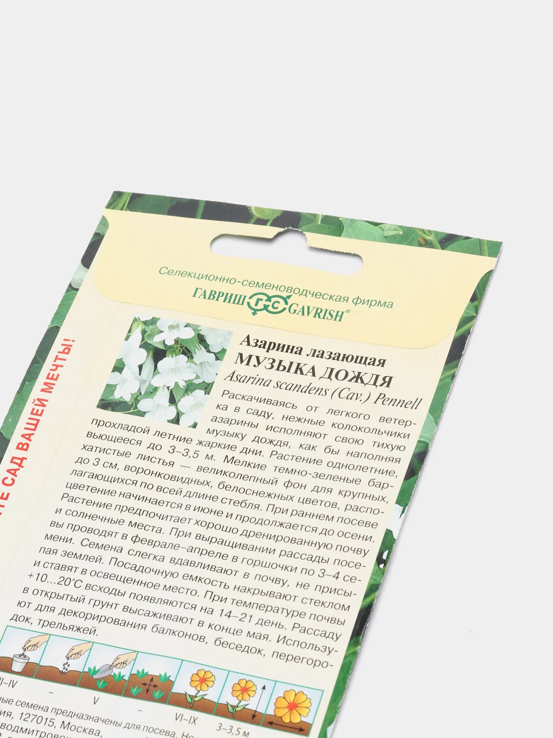 Семена цветы "Азарина Музыка дождя"