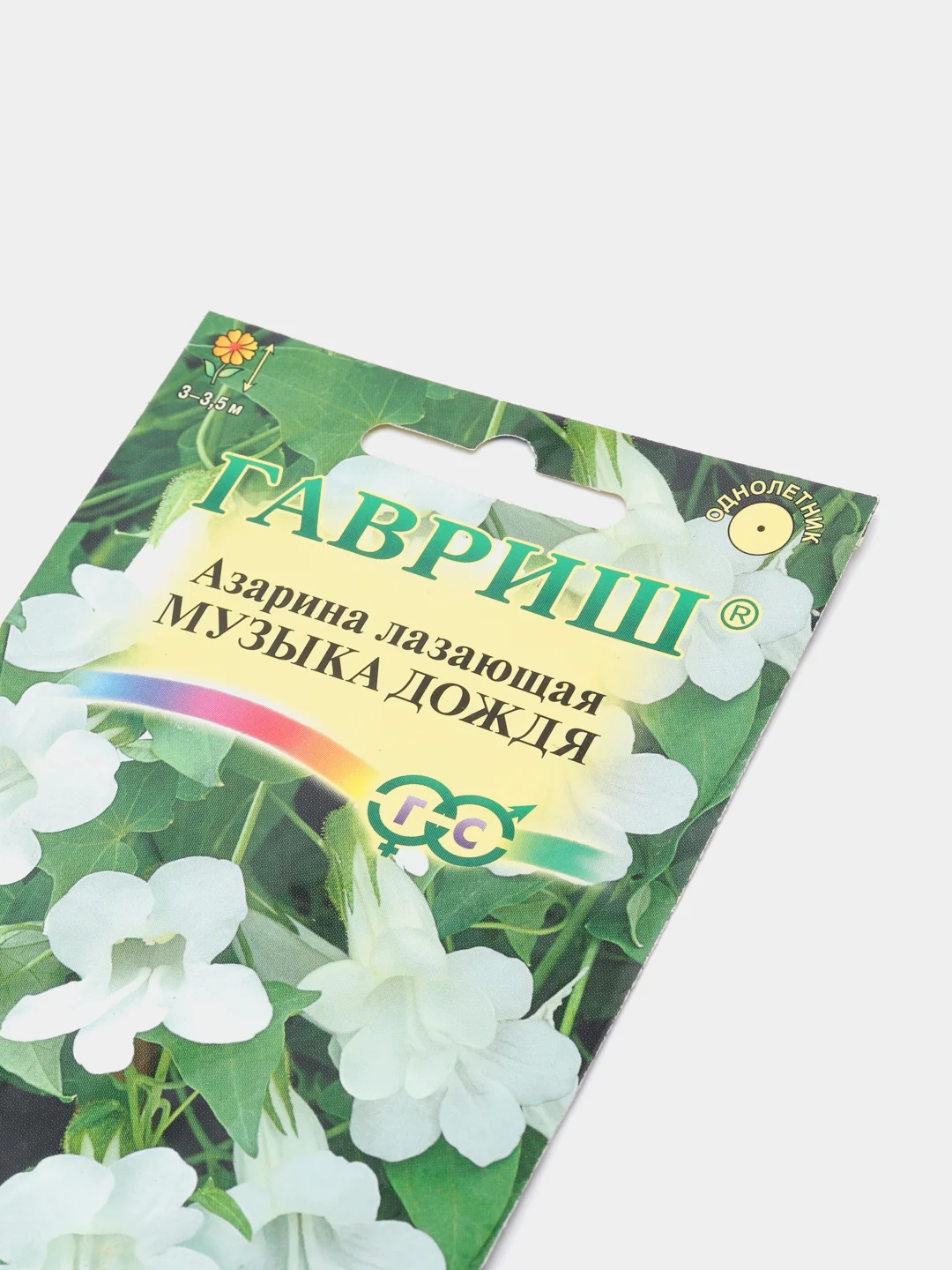 Семена цветы "Азарина Музыка дождя"