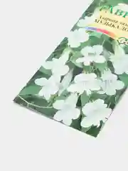 Семена цветы "Азарина Музыка дождя"