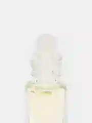 Brand Perfume Molecula 02