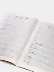 Учимся писать красиво 1 и 2. Комплект 2 тетради,  для детей 6-7 лет. Елена Бортникова