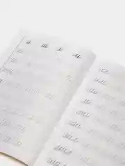 Учимся писать красиво 1 и 2. Комплект 2 тетради,  для детей 6-7 лет. Елена Бортникова
