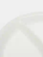 Тарелка одноразовая, d=20,5 см, 2-х секционная, цвет белый