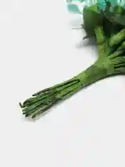Бирюзовый тычинки с сахарными вставками. 12 штук