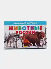 "Животные России", обучающие карточки на картоне с познавательным текстом