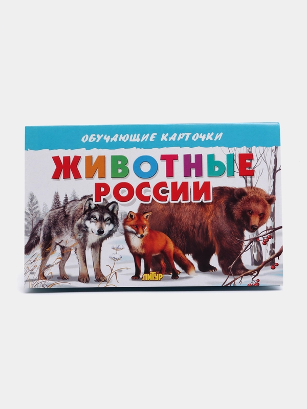 "Животные России", обучающие карточки на картоне с познавательным текстом