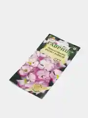 Примула Роззи с каймой (семена,цветы)