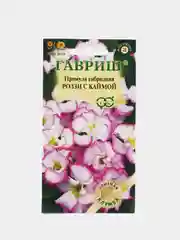 Примула Роззи с каймой (семена,цветы)