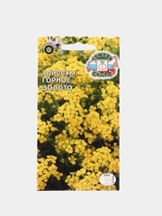 Алиссум Горное золото (семена,цветы)