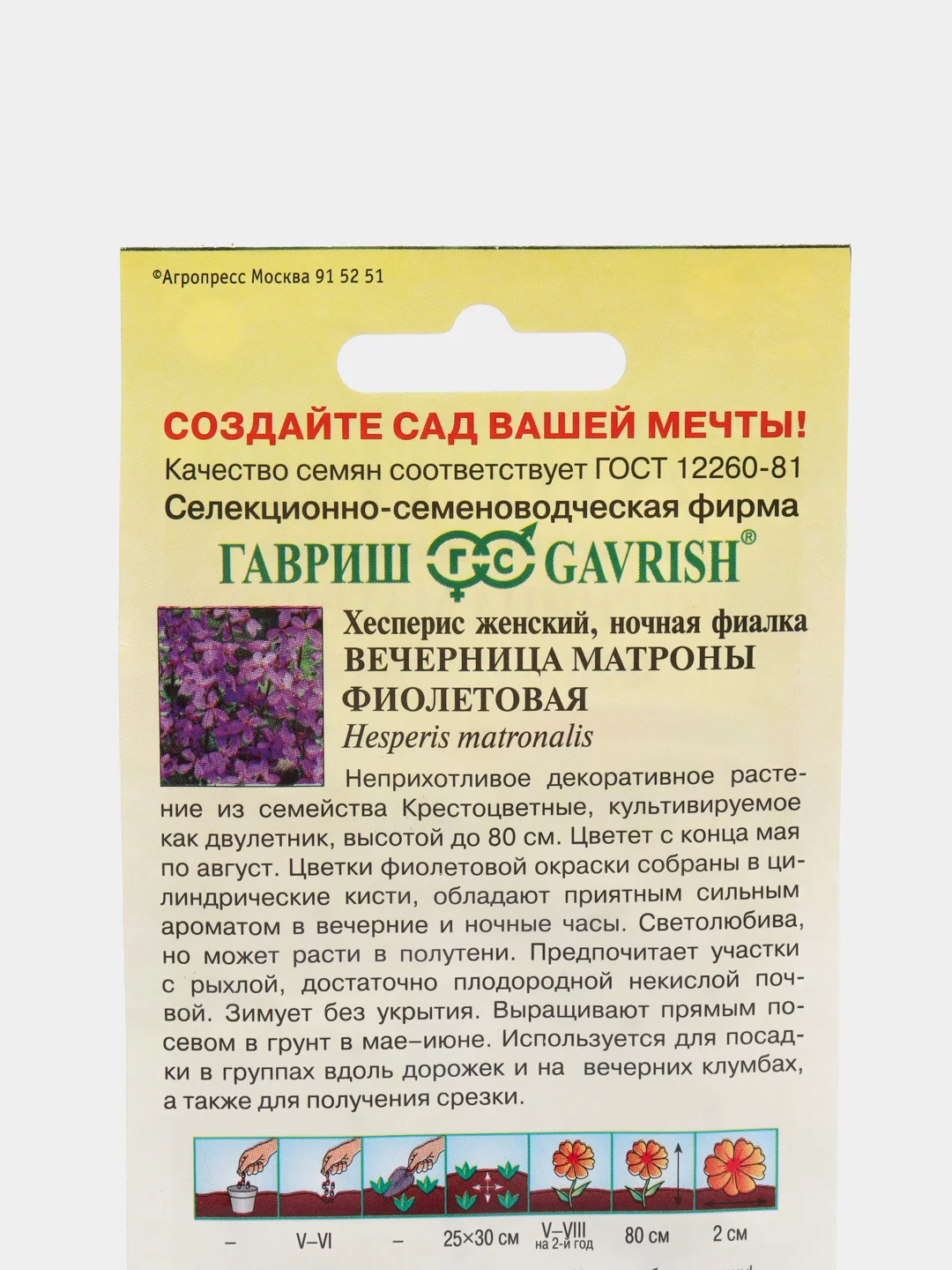 Хесперис "Вечерница Матроны фиолетовая", семена, цветы