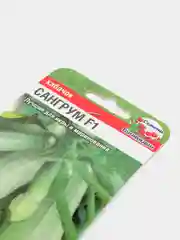 Семена Кабачок "Сангрум"