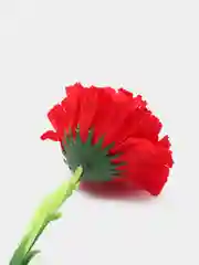 Красный искусственный цветок "Гвоздика"