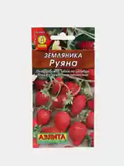 Земляника Руяна (семена)