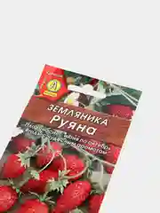 Земляника Руяна (семена)