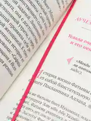 ЧИТАЙ-УММА / Картинки из жизни сподвижниц"