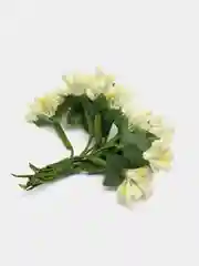 Кремовый тычинки с сахарными вставками. 12 штук