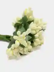 Кремовый тычинки с сахарными вставками. 12 штук