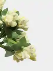 Кремовый тычинки с сахарными вставками. 12 штук