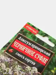 Семена цветов Алиссум "Черничное суфле", смесь окрасок, 0,1 г