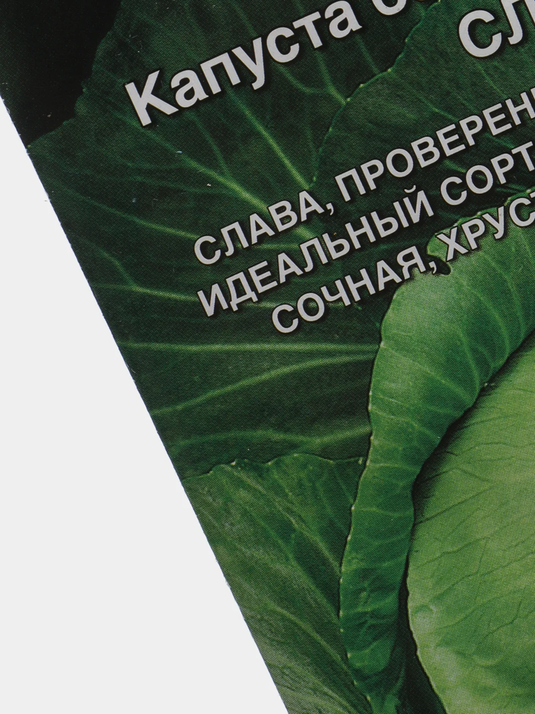 Семена Капуста белокочаная "Слава 1305" набор 1, 3, 5 уп