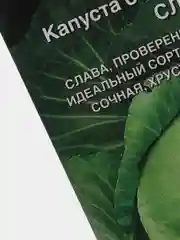 Семена Капуста белокочаная "Слава 1305" набор 1, 3, 5 уп