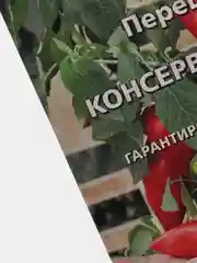 Семена Перец сладкий "Ранний консервный" набор 1, 3, 5 уп