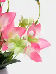 Розовый искусственные цветы гавайские гибискус