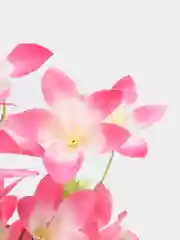 Розовый искусственные цветы гавайские гибискус