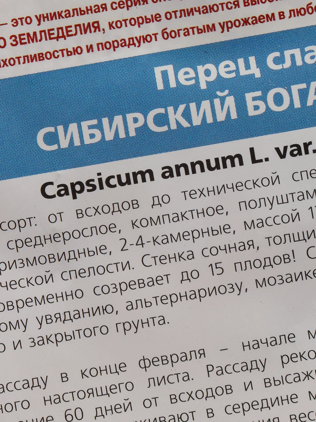 Семена Перец сладкий "Сибирский богатырь" набор 1, 3, 5 уп
