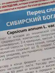 Семена Перец сладкий "Сибирский богатырь" набор 1, 3, 5 уп