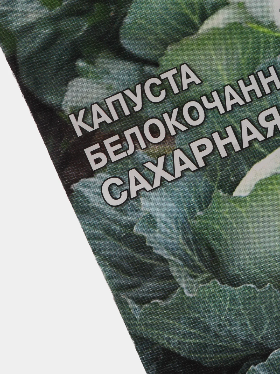Семена Капуста белокочаная  Сахарная голова  набор 1, 3, 5 уп
