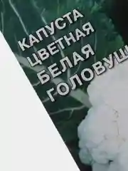 Семена Капуста цветная "Белая головушка" набор 1, 3, 5 уп